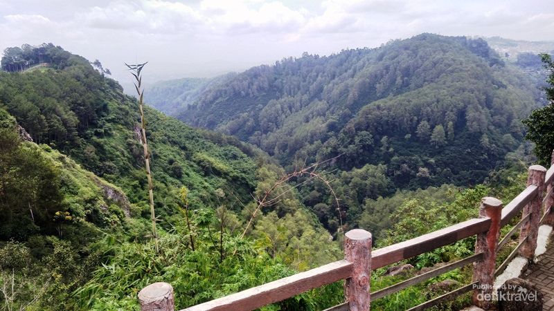 Punggung bukit bagian Tahura Ir. H. Djuanda Dago