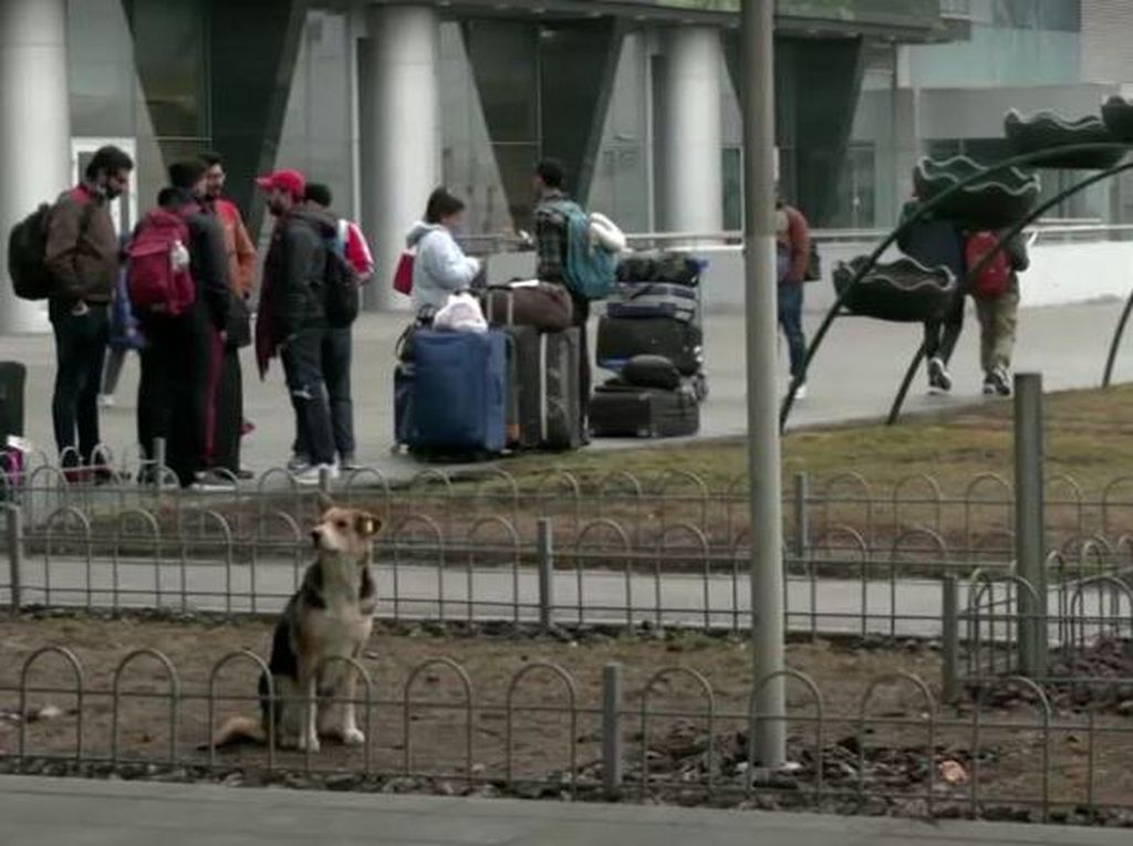 Mengapa Menguasai Bandara Internasional Ukraina Begitu Penting Bagi Rusia?