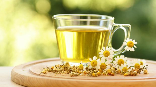 Chamomile tea with dry and fresh chamomile