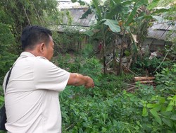 Kakek 78 Tahun Ditemukan Tewas Membusuk Penuh Belatung di Kolam