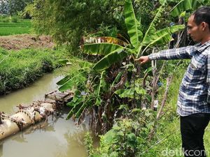 Bau Busuk, Ini Penampakan Pipa Limbah PT RUM Sukoharjo yang Pecah