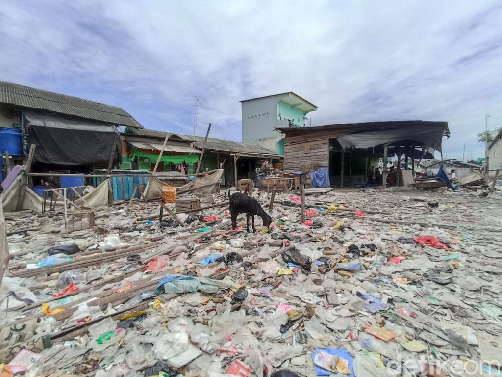 5 Fakta Miris Lautan Sampah di Tanggul Laut Raksasa Jakarta