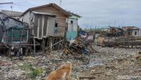 Menyengat Bau Busuk Dekat Giant Sea Wall Jakarta Gegara Sampah Menumpuk