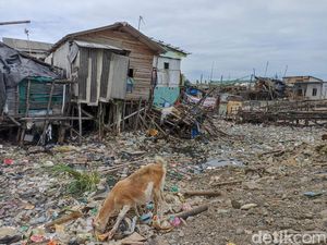 Menyengat Bau Busuk Dekat Giant Sea Wall Jakarta Gegara Sampah Menumpuk