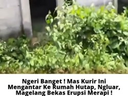 Permisi, Paket! Geger Kurir Kabur Saat Cari Alamat di Rumah Kosong
