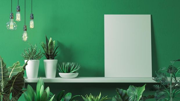 3d render of mock wall with home plants