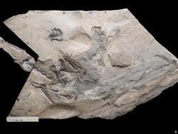 Jejak Purba di Sumedang Segera Diteliti Lagi