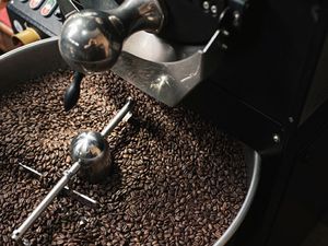 Lebih Dekat dengan Kopi Terbaik dari Pegunungan Bintang Papua Lebih Dekat dengan Kopi Terbaik dari Pegunungan Bintang Papua