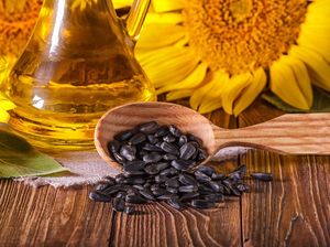 Pasokan Minyak Bunga Matahari Menipis, Eropa Jadi Doyan Minyak Sawit