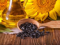 Pasokan Minyak Bunga Matahari Menipis, Eropa Jadi Doyan Minyak Sawit