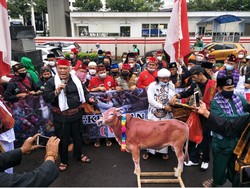 Bawa Sapi, Jajaka Nusantara Demo di Kedubes India Jaksel