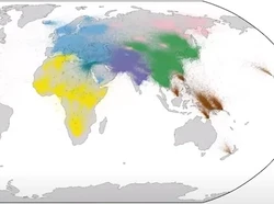 Ilmuwan Temukan Pohon Keluarga Terbesar Manusia, Ada 27 Juta Leluhur