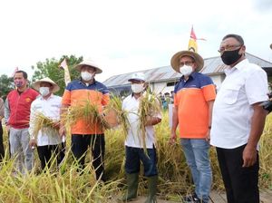 Dukung Produktivitas Pertanian, Ini 3 Program Makmur Pupuk Kaltim