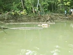 Hilang 3 Hari, Pria di Sulut Ditemukan Tewas Luka-luka di Sungai