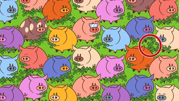 Yuk, Uji Seberapa Kamu Fokus dan Jeli Lihat Deretan Gambar Ini