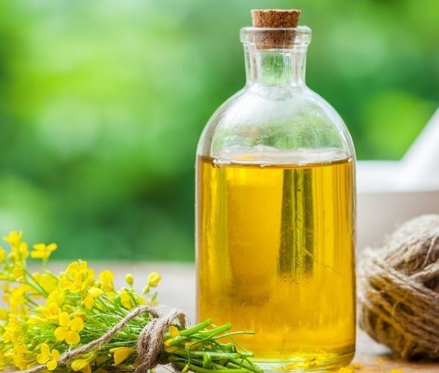 Minyak canola/Foto: Pinterest.com/goodhausemag Pilihan minyak sayur sebagai alternatif minyak goreng sawit langka yang lebih sehat