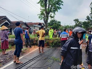 Angin Kencang Tumbangkan Pohon di Banyuwangi hingga Timpa Mobil