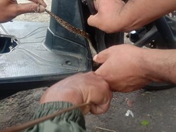 Heboh! Ular Sanca Kembang Masuk Dasbor Motor di Bandung