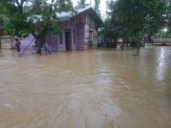 BPBD: 3.519 Warga Aceh Timur Mengungsi Akibat Banjir