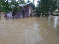 BPBD: 3.519 Warga Aceh Timur Mengungsi Akibat Banjir