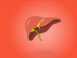 Psikolog: Pakai Organ Manusia untuk Karya Itu Perilaku di Luar Normal