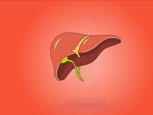 Psikolog: Pakai Organ Manusia untuk Karya Itu Perilaku di Luar Normal Psikolog: Pakai Organ Manusia untuk Karya Itu Perilaku di Luar Normal