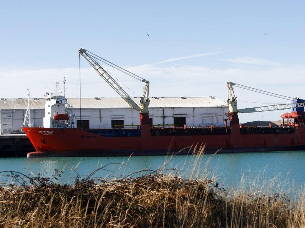 Ukraina Minta Turki Tahan Kapal Kargo Berbendera Rusia di Laut Hitam