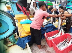 KKP Tegaskan Kuota Penangkapan Ikan Untungkan Nelayan Kecil