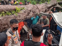 Tragedi Pohon Tumbang Renggut 3 Nyawa Pengguna Jalan di Sukabumi