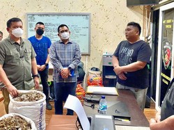 Polisi Sebut Pelaku Penjual 150 Kg Sisik di Sumut Bunuh 600 Trenggiling