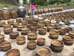 Apa Itu Jamur Aspergillus Wentii? Ini Manfaatnya