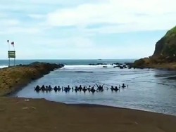 Ini Kondisi Laut Saat Wisatawan Melakukan Ritual di Pantai Jember