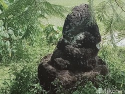 Dua Arca Kuno Rusak Berdiri di Tepi Jalan Klaten, Ini Kisahnya