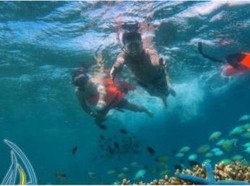 Viral Turis Kena Prank Harga Hotel, Ketua GHA: Laporkan ke Polisi...