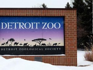 Kebun Binatang Ini Pindahkan Burung-Burungnya Gegara Ada Infeksi Menular! Kebun Binatang Ini Pindahkan Burung-Burungnya Gegara Ada Infeksi Menular!