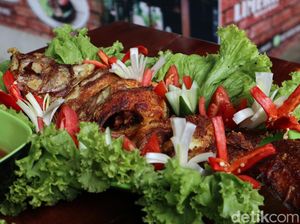 Harganya Puluhan Juta Rupiah, Banyak Ikan Sultan Nasibnya Berakhir di Wajan Harganya Puluhan Juta Rupiah, Banyak Ikan Sultan Nasibnya Berakhir di Wajan