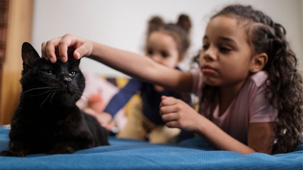 Ilustrasi Anak dan Hewan Peliharaan/Foto: Canva/ cottonbro