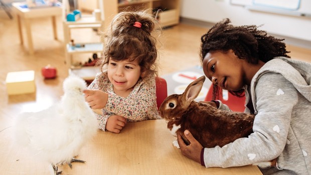 Ilustrasi Anak dan Hewan Peliharaan/Foto: Canva/ kate_sept2004