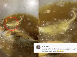 Asyik Goreng Ikan, Netizen Ini Kaget Dapat Bonus Gratis yang Bikin Ngakak