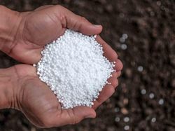 Ada Konflik Israel-Iran, Produksi Pupuk RI Bakal Terganggu?