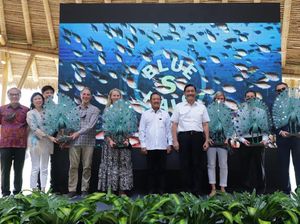 Kebijakan Kuota Penangkapan Ikan Dinilai Buka Banyak Peluang Investasi