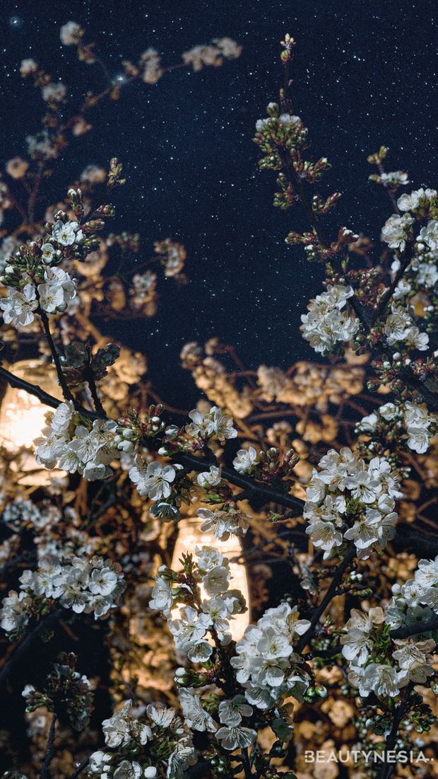 L'Occitane Starry Cherry Blossom