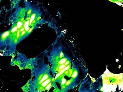 Meteor yang Pernah Hantam Rusia Disebut Berumur Sama dengan Bulan