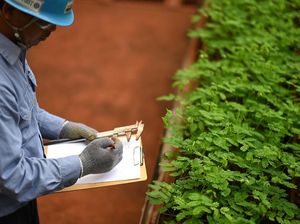 MIND ID Gelontorkan Rp 799 Miliar untuk Reklamasi Pasca Tambang MIND ID Gelontorkan Rp 799 Miliar untuk Reklamasi Pasca Tambang