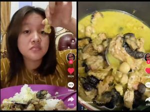 Netizen Doyan Makan Ular, Sebut Kulitnya Enak dan Kenyal Mirip Bakso Aci Netizen Doyan Makan Ular, Sebut Kulitnya Enak dan Kenyal Mirip Bakso Aci