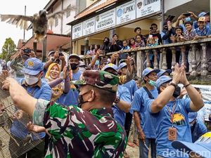 Desa di Purworejo Bikin Aturan Penyetrum Ikan, Denda Rp 50 Juta!