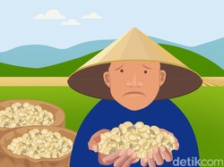 Mereduksi Ketergantungan Impor Kedelai