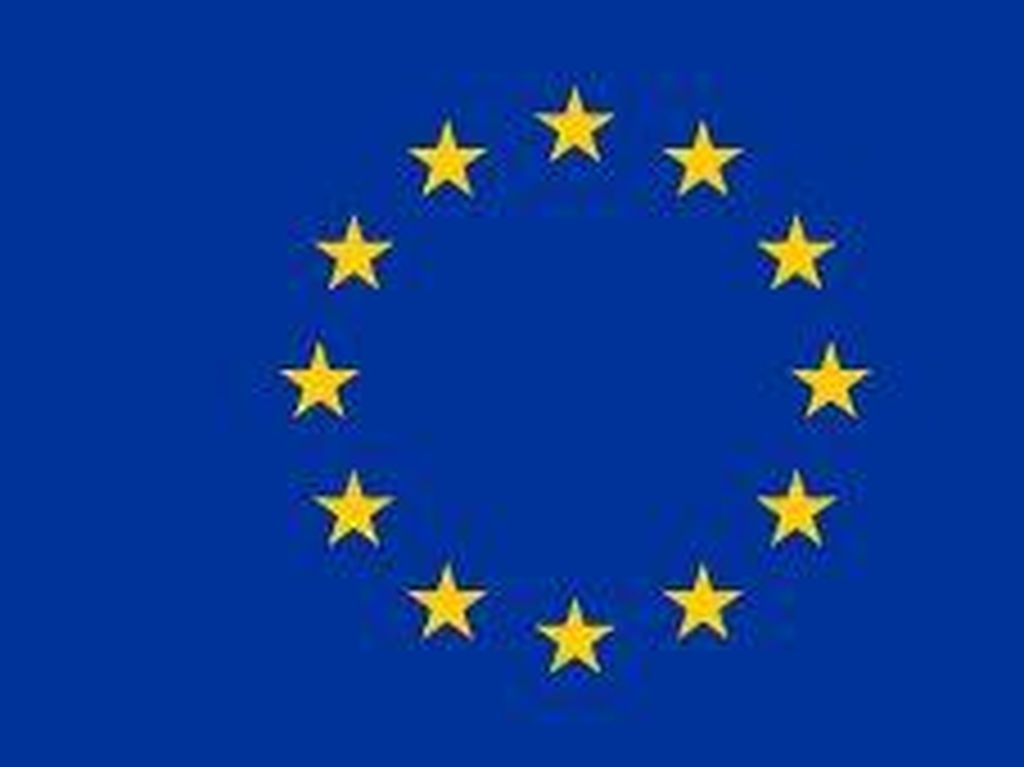 Mengenal Uni Eropa: Peran dan Strukturnya