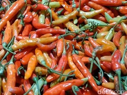 Harga Cabai Makin Pedas, Naiknya Sudah Gila-gilaan!
