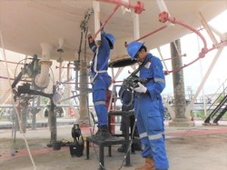 BUMN Jasa Survei Genjot Sektor Pertambangan Hingga EBT, Begini Caranya